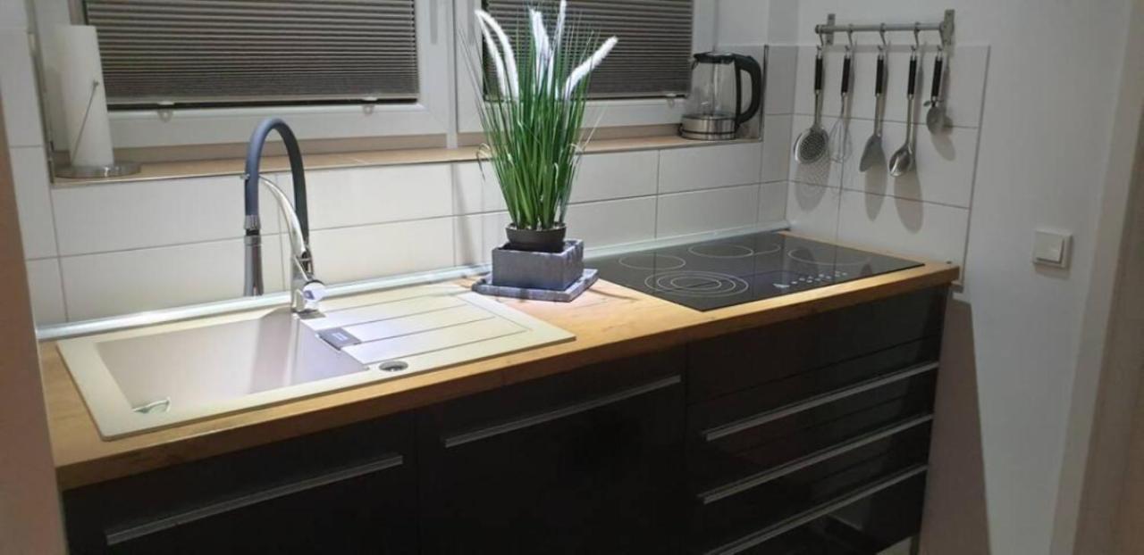 Schicke Ferienwohnung Mit Harzblick Fuer 1-2 Oder 1-4 Personen Гослар Екстериор снимка